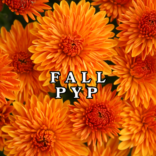 COMING SOON ——— FALL PYP (6 WEEK TURNAROUND)